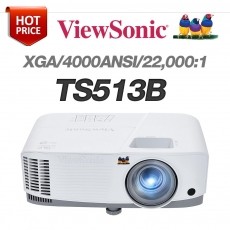 Viewsonic TS513B<br>SVGA(800*600), 4000안시, 22,,000:1